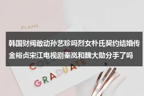 韩国财阀敢动孙艺珍吗烈女朴氏契约结婚传金裕贞宋江电视剧秦岚和魏大勋分手了吗（孙艺珍背后金主）-第1张图片-九妖电影