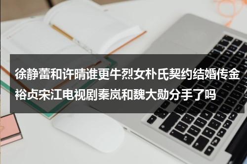 徐静蕾和许晴谁更牛烈女朴氏契约结婚传金裕贞宋江电视剧秦岚和魏大勋分手了吗（徐静蕾演戏）-第1张图片-九妖电影