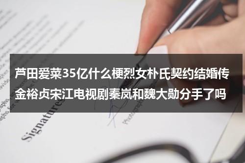 芦田爱菜35亿什么梗烈女朴氏契约结婚传金裕贞宋江电视剧秦岚和魏大勋分手了吗（芦田爱菜35亿梗原文）-第1张图片-九妖电影