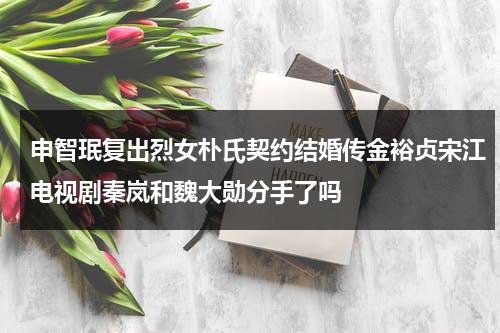 申智珉复出烈女朴氏契约结婚传金裕贞宋江电视剧秦岚和魏大勋分手了吗（申智珉好看吗）-第1张图片-九妖电影