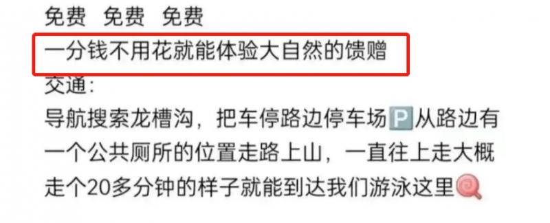 内地网红日本复出背后：日本电影的崛起与内地电影的反思（日本电影在中国上映要多久）-第3张图片-九妖电影