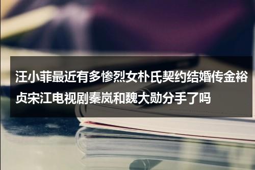 汪小菲最近有多惨烈女朴氏契约结婚传金裕贞宋江电视剧秦岚和魏大勋分手了吗（汪小菲演过的电视剧）-第1张图片-九妖电影