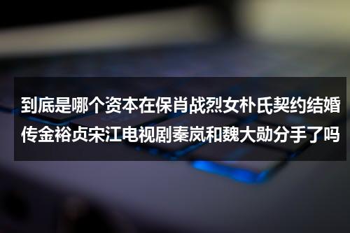 到底是哪个资本在保肖战烈女朴氏契约结婚传金裕贞宋江电视剧秦岚和魏大勋分手了吗（肖战去年被资本挤出剧组是真的吗）-第1张图片-九妖电影