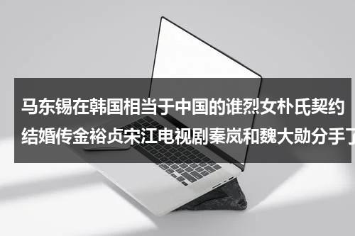 马东锡在韩国相当于中国的谁烈女朴氏契约结婚传金裕贞宋江电视剧秦岚和魏大勋分手了吗（马东锡在韩国的影响力）-第1张图片-九妖电影