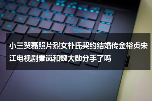 小三贺磊照片烈女朴氏契约结婚传金裕贞宋江电视剧秦岚和魏大勋分手了吗（贺三男朋友）-第1张图片-九妖电影