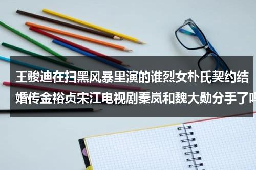 王骏迪在扫黑风暴里演的谁烈女朴氏契约结婚传金裕贞宋江电视剧秦岚和魏大勋分手了吗（王骏迪扫黑风暴饰演）-第1张图片-九妖电影