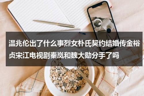 温兆伦出了什么事烈女朴氏契约结婚传金裕贞宋江电视剧秦岚和魏大勋分手了吗（温兆伦喜剧电视剧）-第1张图片-九妖电影