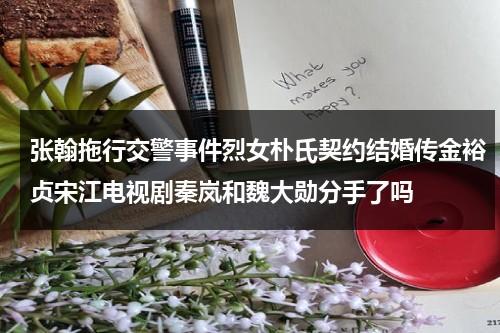 张翰拖行交警事件烈女朴氏契约结婚传金裕贞宋江电视剧秦岚和魏大勋分手了吗（张翰与金翰的对比）-第1张图片-九妖电影