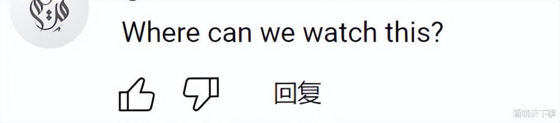 原来外国网友也喜欢《第二十条》！又有电影走出国门收获好评了！（何为二十一条）-第3张图片-九妖电影