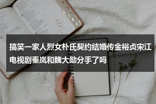 搞笑一家人烈女朴氏契约结婚传金裕贞宋江电视剧秦岚和魏大勋分手了吗-第1张图片-九妖电影