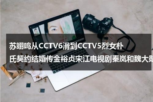 苏翊鸣从CCTV6滑到CCTV5烈女朴氏契约结婚传金裕贞宋江电视剧秦岚和魏大勋分手了吗-第1张图片-九妖电影