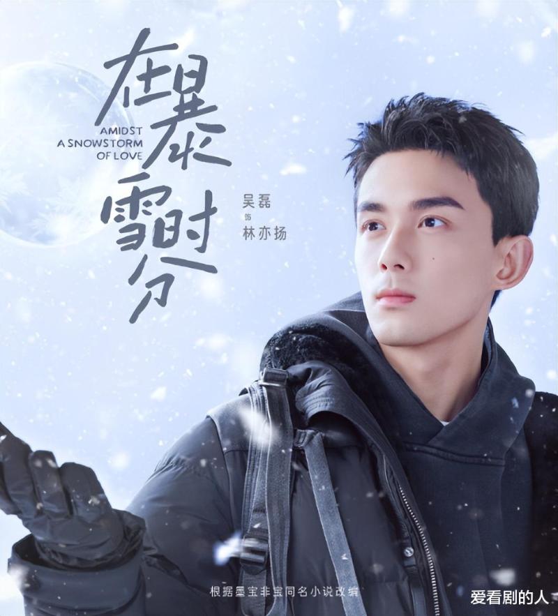 网剧播放指数：《在暴雪时分》继续登顶，《乡村爱情16》排第四！-第3张图片-九妖电影