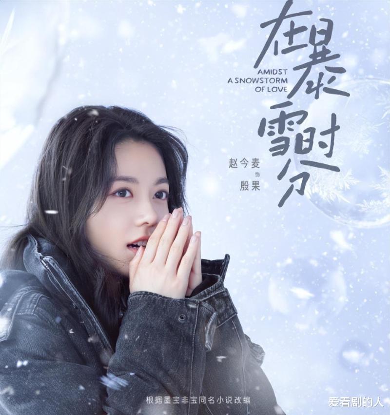 网剧播放指数：《在暴雪时分》继续登顶，《乡村爱情16》排第四！-第4张图片-九妖电影