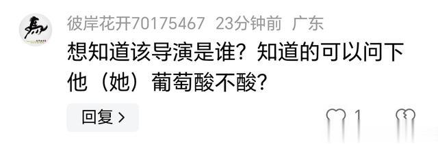 著名导演炮轰贾玲：你电影有30亿票房，为什么不捐出一半做慈善？-第14张图片-九妖电影