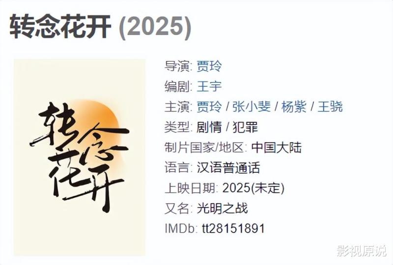 贾玲主演电影票房破100亿，她只需一部电影就能够创造历史-第4张图片-九妖电影