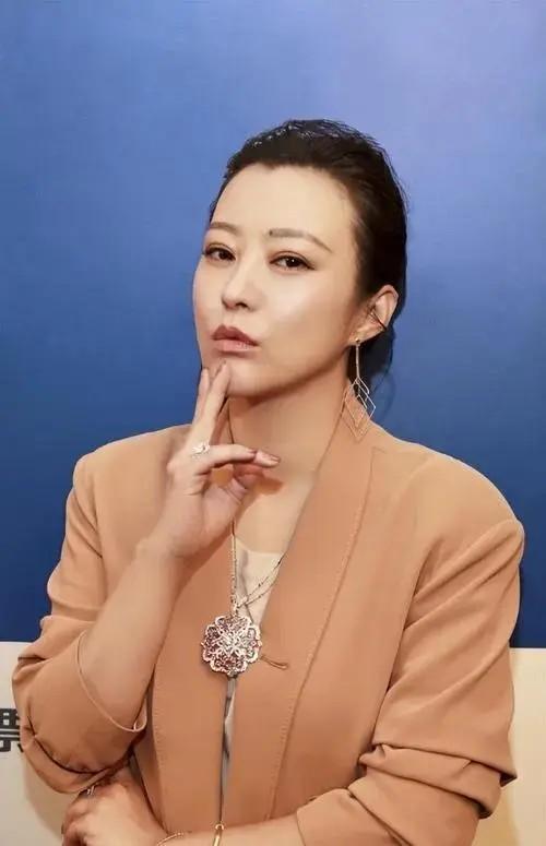 郝蕾：与刘烨离婚后，自己一人养育双胞胎儿子，如今怎么样了？-第2张图片-九妖电影