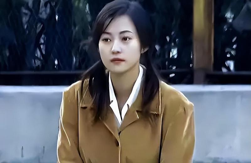 郝蕾：与刘烨离婚后，自己一人养育双胞胎儿子，如今怎么样了？-第5张图片-九妖电影