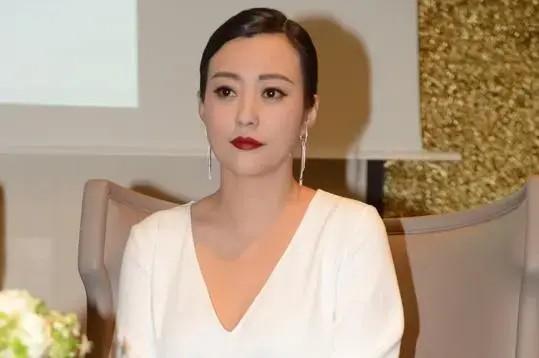 郝蕾：与刘烨离婚后，自己一人养育双胞胎儿子，如今怎么样了？-第22张图片-九妖电影