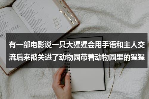 有一部电影说一只大猩猩会用手语和主人交流后来被关进了动物园带着动物园里的猩猩-第1张图片-九妖电影