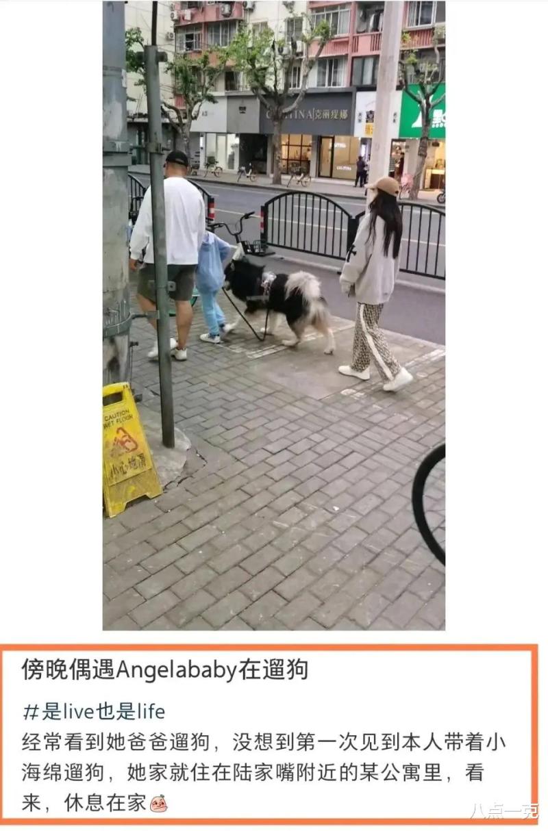 黄晓明杨颖疑似复合？两人穿情侣装同逛迪士尼，网友：叶珂要疯了-第16张图片-九妖电影