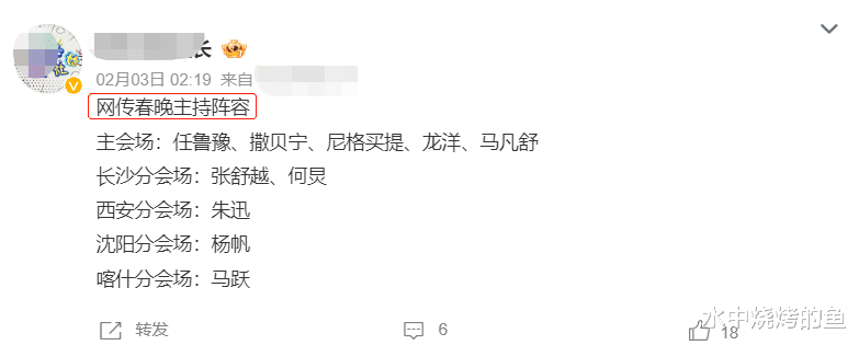 龙年春晚主持阵容曝光！5人坐镇主会场，龙洋马凡舒撑门面，双北连线拉满期待值-第24张图片-九妖电影