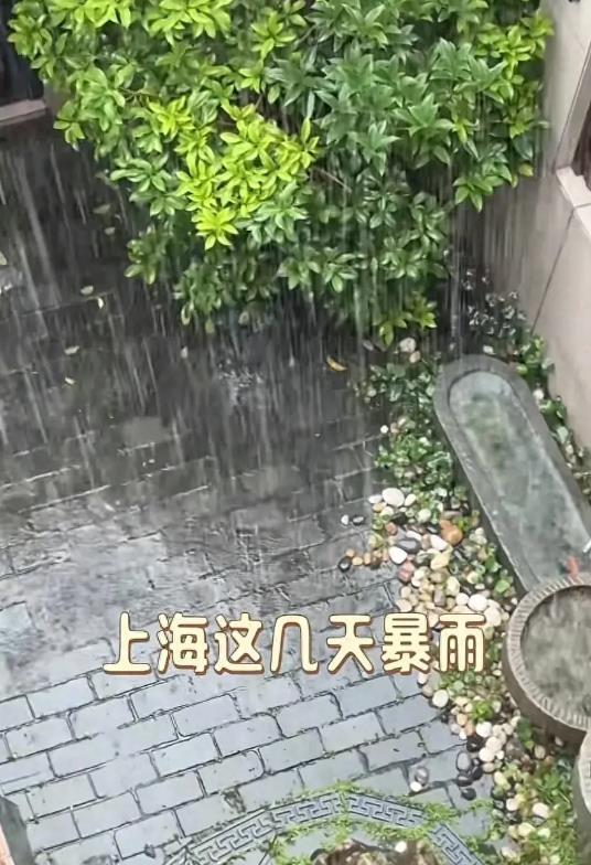 被上海暴雨控住的家：陈龙在家“打伞避雨”，陈赫家像“水帘洞”-第16张图片-九妖电影