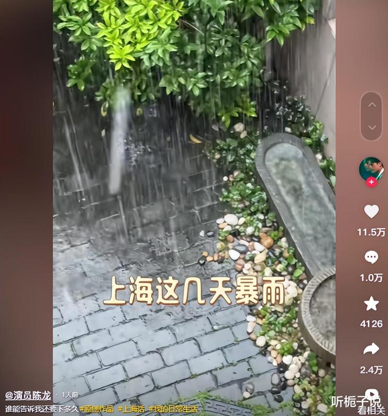 陈赫上海的家漏雨！陈龙家更为严重，水盆排排坐，网友想看邓超家-第7张图片-九妖电影