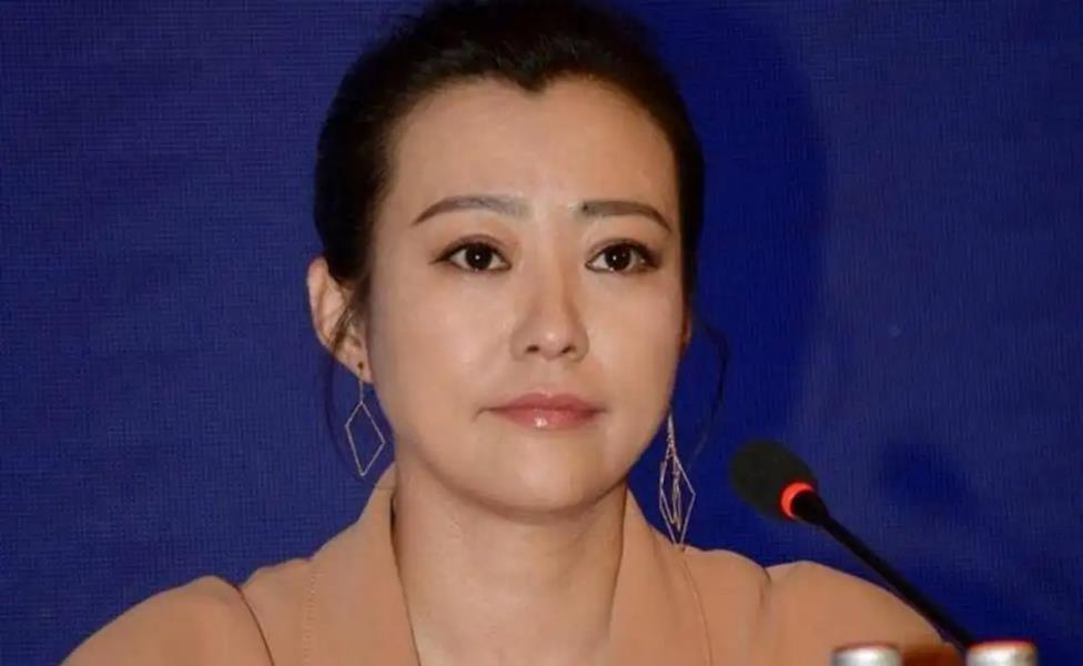 郝蕾：与刘烨离婚后，自己一人养育双胞胎儿子，如今怎么样了-第4张图片-九妖电影