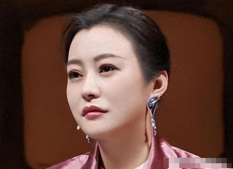 郝蕾：与刘烨离婚后，自己一人养育双胞胎儿子，如今怎么样了-第25张图片-九妖电影