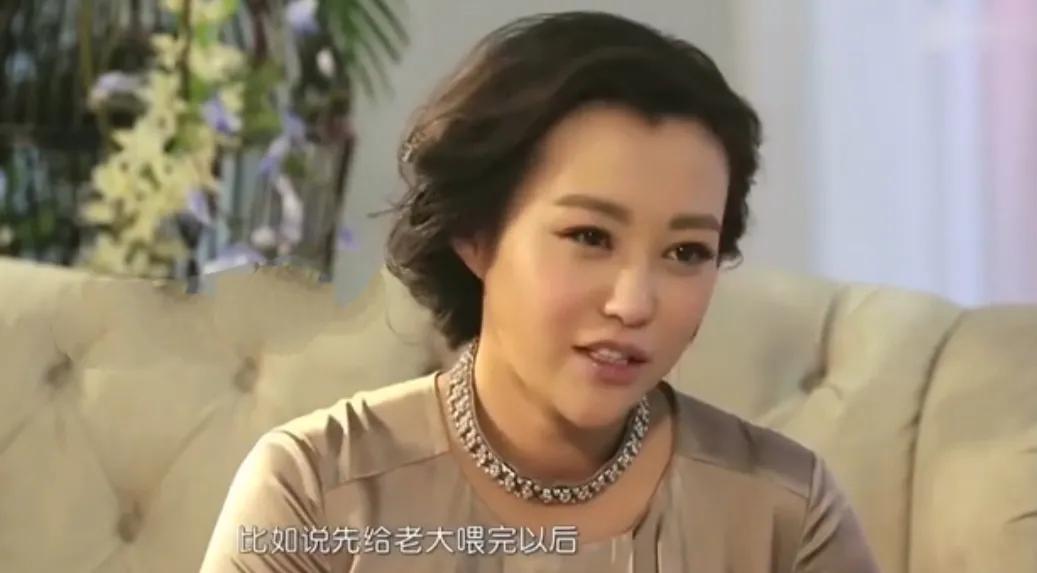 郝蕾：与刘烨离婚后，自己一人养育双胞胎儿子，如今怎么样了-第51张图片-九妖电影