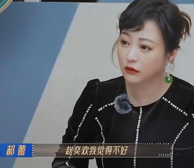 郝蕾：与刘烨离婚后，自己一人养育双胞胎儿子，如今怎么样了-第52张图片-九妖电影