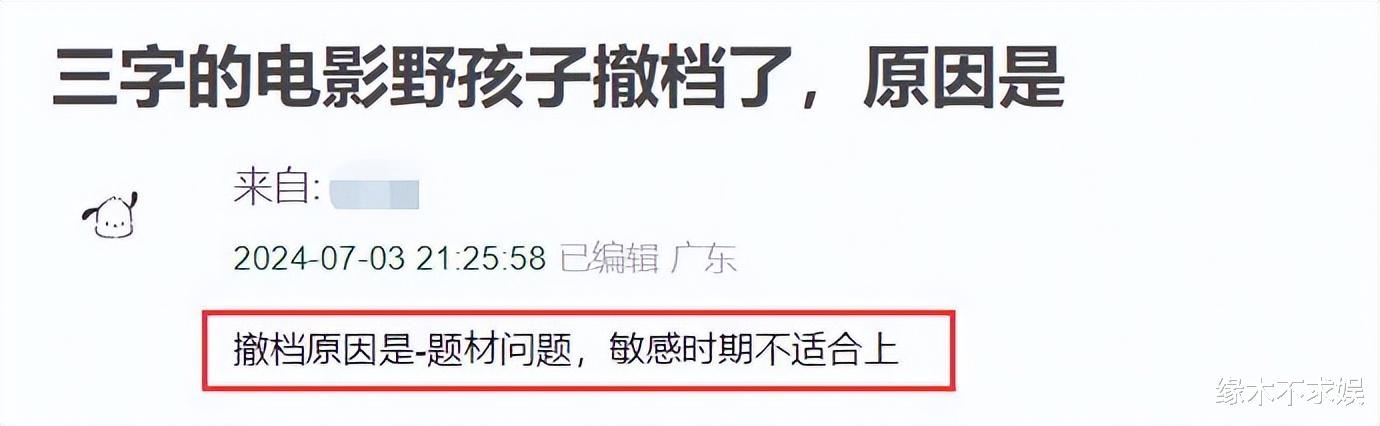 《野孩子》撤档！上午提档下午撤档，原因曝光，王俊凯评论区沦陷-第13张图片-九妖电影