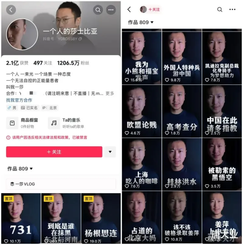 千万粉丝大V“一个人的莎士比亚”被封演技用错了地方！-第2张图片-九妖电影