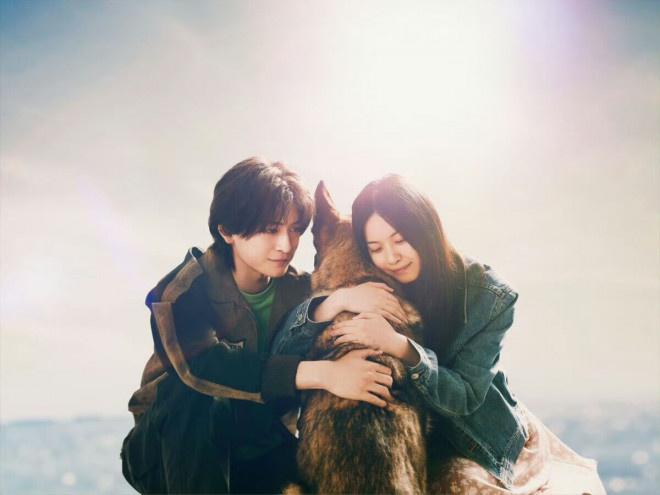 直木奖《少年与犬》改编 高桥文哉西野七濑W主演-第1张图片-九妖电影