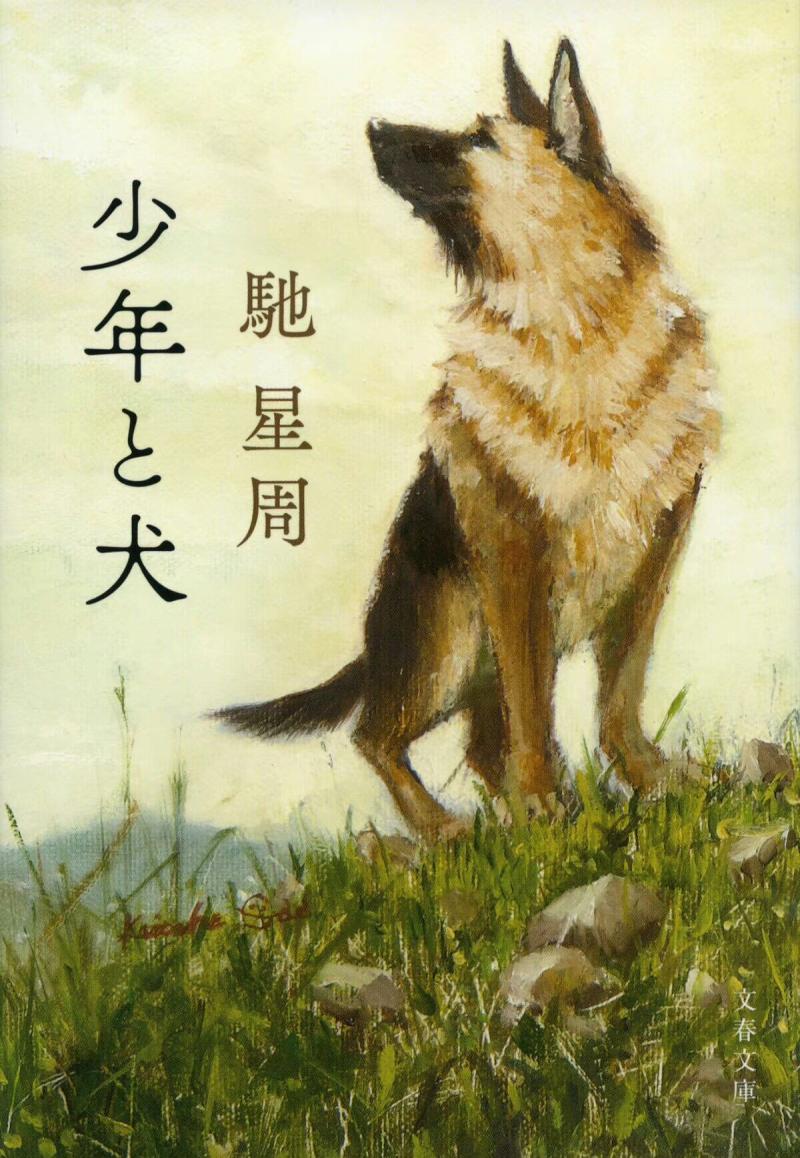 直木奖《少年与犬》改编 高桥文哉西野七濑W主演-第2张图片-九妖电影