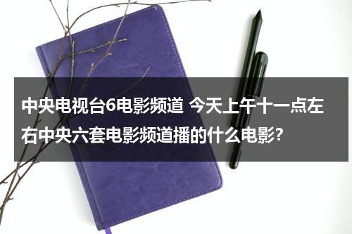 中央电视台6电影频道 今天上午十一点左右中央六套电影频道播的什么电影？-第1张图片-九妖电影