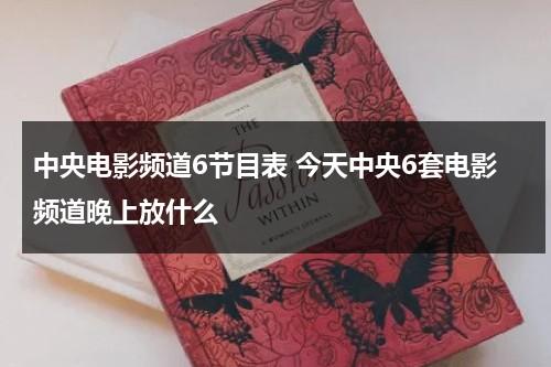 中央电影频道6节目表 今天中央6套电影频道晚上放什么-第1张图片-九妖电影