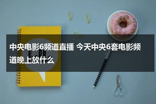 中央电影6频道直播 今天中央6套电影频道晚上放什么-第1张图片-九妖电影