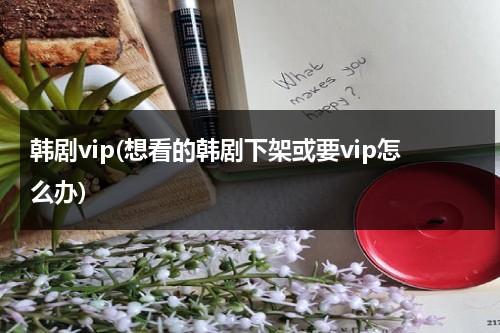 韩剧vip(想看的韩剧下架或要vip怎么办)-第1张图片-九妖电影