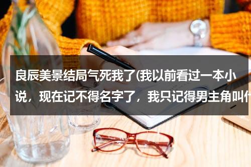 良辰美景结局气死我了(我以前看过一本小说，现在记不得名字了，我只记得男主角叫什么良辰的，女的叫美景，他们从小就认识的，青)-第1张图片-九妖电影