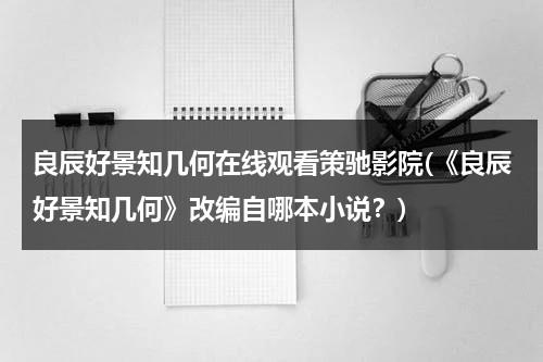 良辰好景知几何在线观看策驰影院(《良辰好景知几何》改编自哪本小说？)-第1张图片-九妖电影