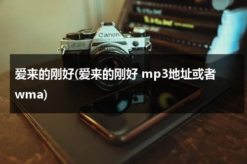 爱来的刚好(爱来的刚好 mp3地址或者wma)-第1张图片-九妖电影