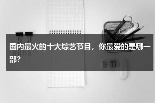 国内最火的十大综艺节目，你最爱的是哪一部？-第1张图片-九妖电影