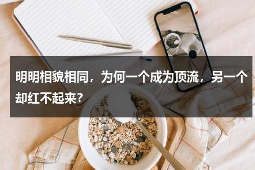 明明相貌相同，为何一个成为顶流，另一个却红不起来？-第1张图片-九妖电影