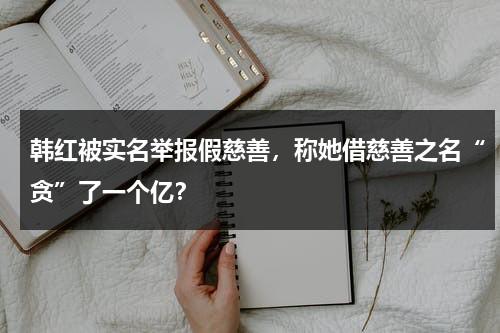 韩红被实名举报假慈善，称她借慈善之名“贪”了一个亿？-第1张图片-九妖电影