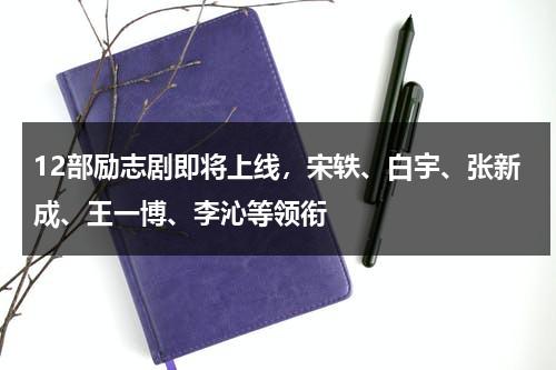 12部励志剧即将上线，宋轶、白宇、张新成、王一博、李沁等领衔-第1张图片-九妖电影