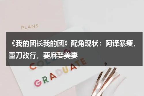 《我的团长我的团》配角现状：阿译暴瘦，董刀改行，要麻娶美妻-第1张图片-九妖电影