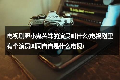 电视剧胆小鬼黄姝的演员叫什么(电视剧里有个演员叫周青青是什么电视)-第1张图片-九妖电影