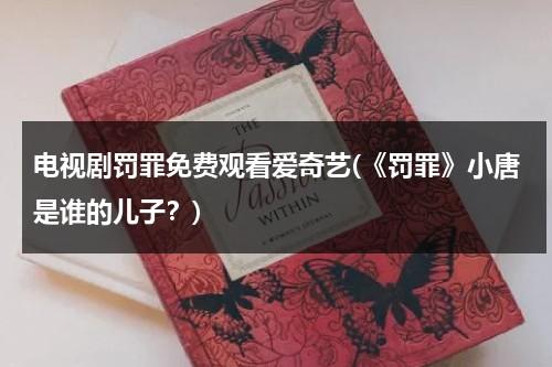 电视剧罚罪免费观看爱奇艺(《罚罪》小唐是谁的儿子？)-第1张图片-九妖电影