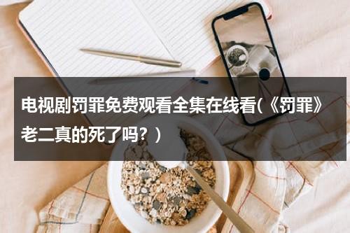 电视剧罚罪免费观看全集在线看(《罚罪》老二真的死了吗？)-第1张图片-九妖电影